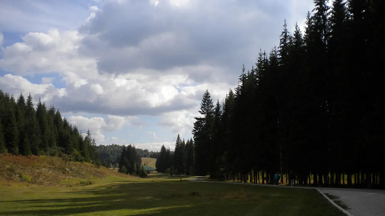 A signed forest path at the Bijambare protected landscape above Krivajevići, conifer woods and limestone outcrops on the Nišići plateau northeast of Sarajevo