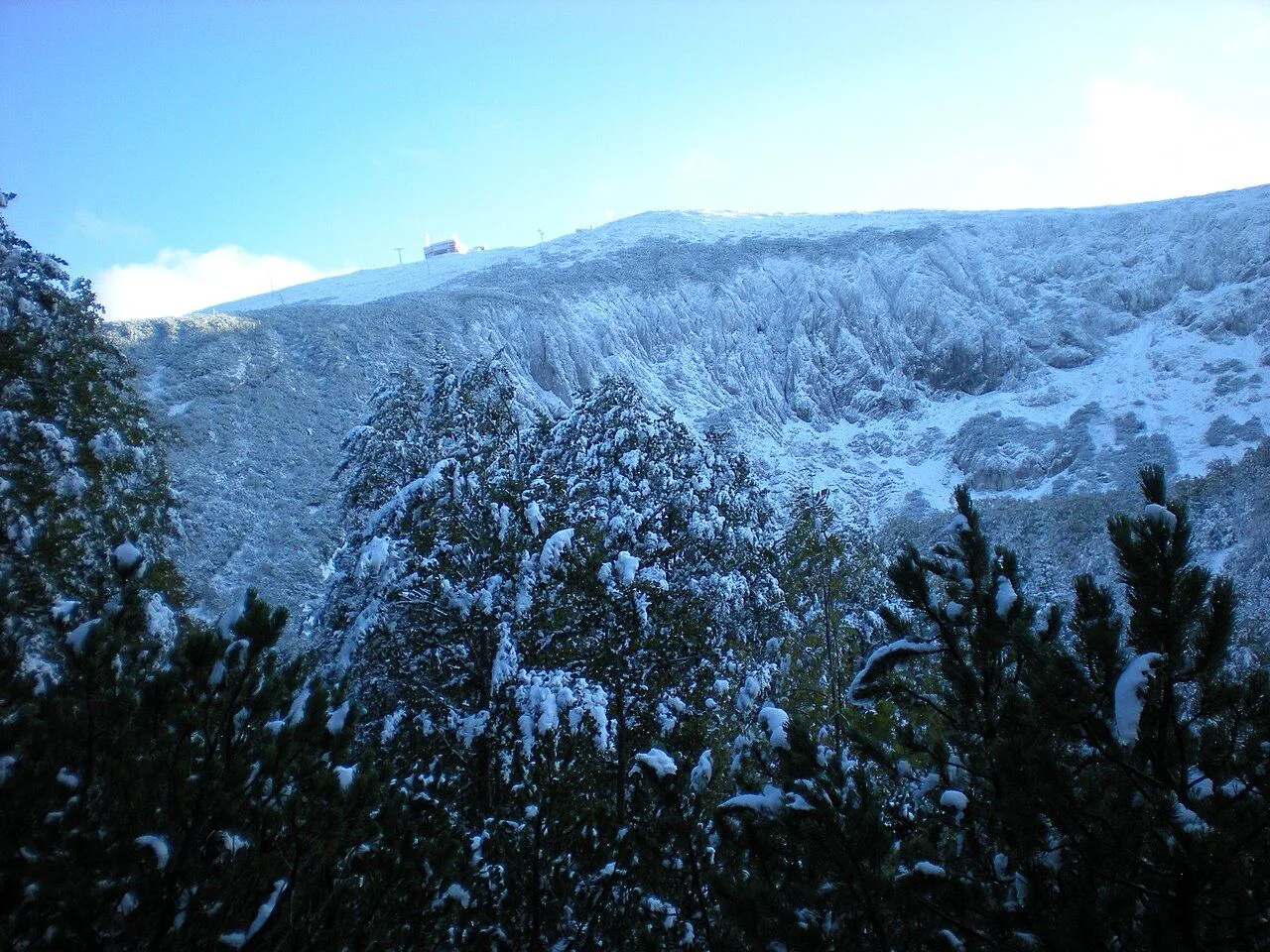 Snow-covered ridge of Bjelašnica above a line of frosted pines, a ski-lift station just visible on the skyline