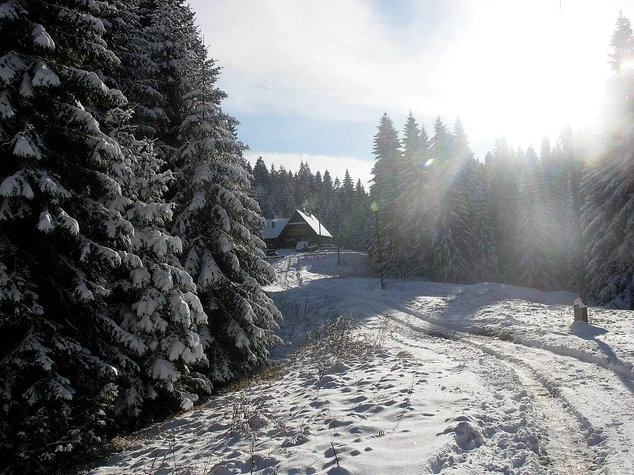 The snow-bound Hrasnicki Stan mountain hut on Igman lit by low winter sun through the pines