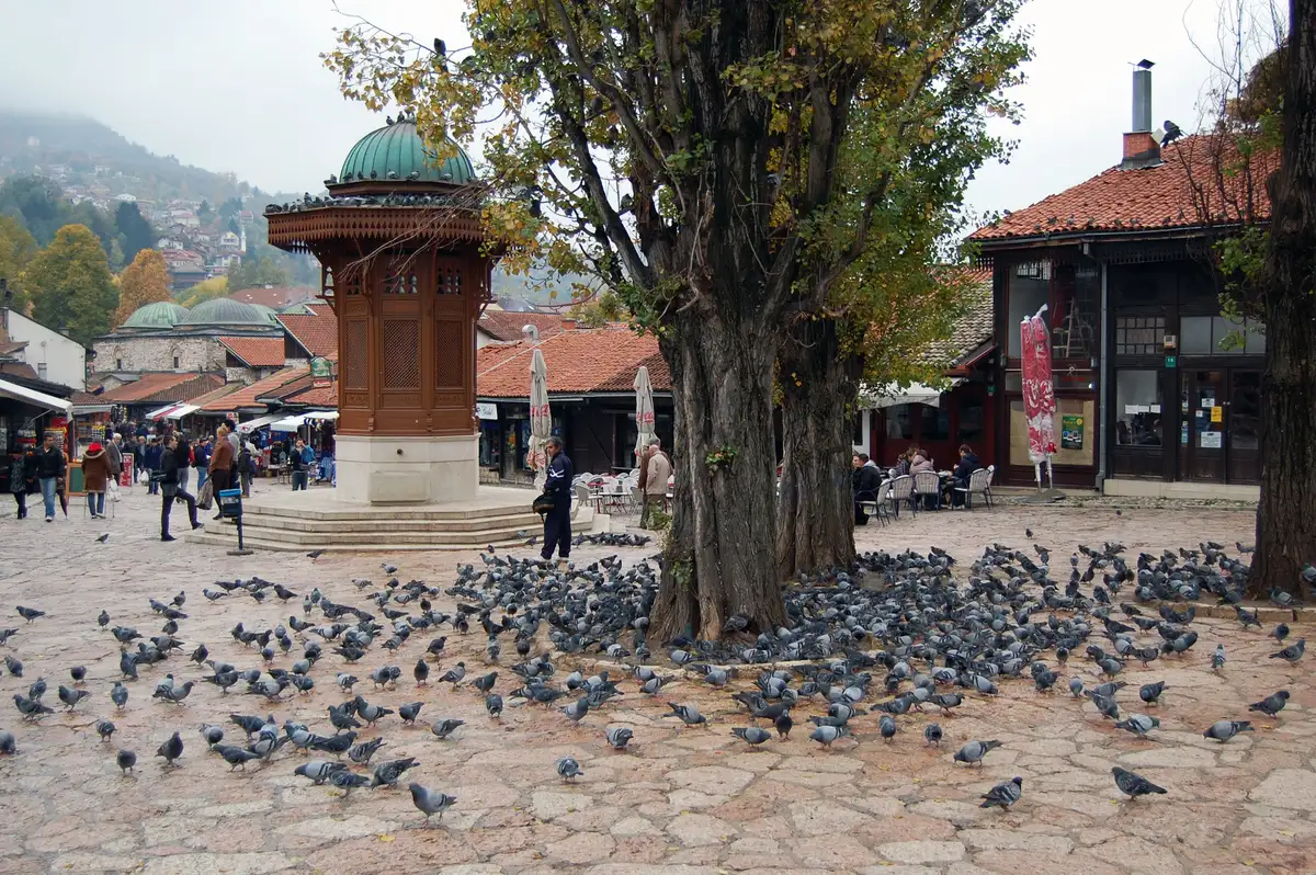 The Sebilj fountain and café terraces in Sarajevo Baščaršija old bazaar, pigeons on the square and wooded hills behind