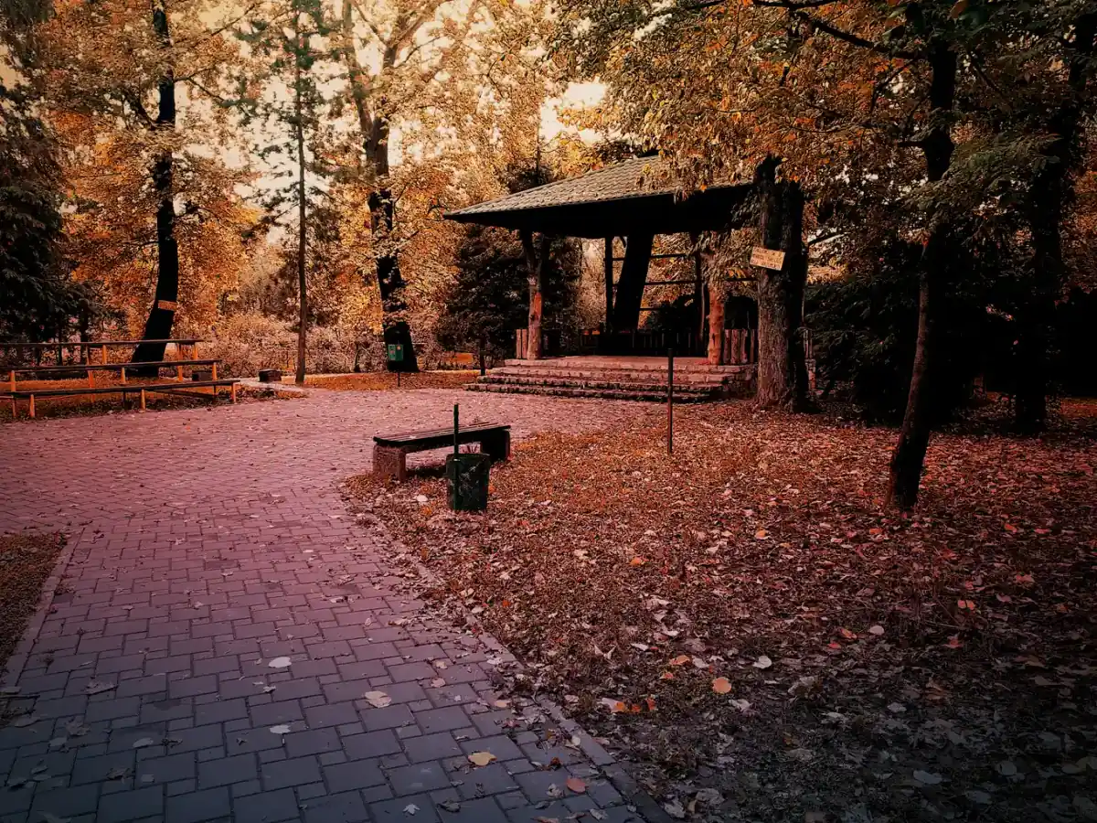 A golden-leaved park path and wooden pavilion covered in fallen autumn leaves at dusk in Sanski Most, northern Bosnia