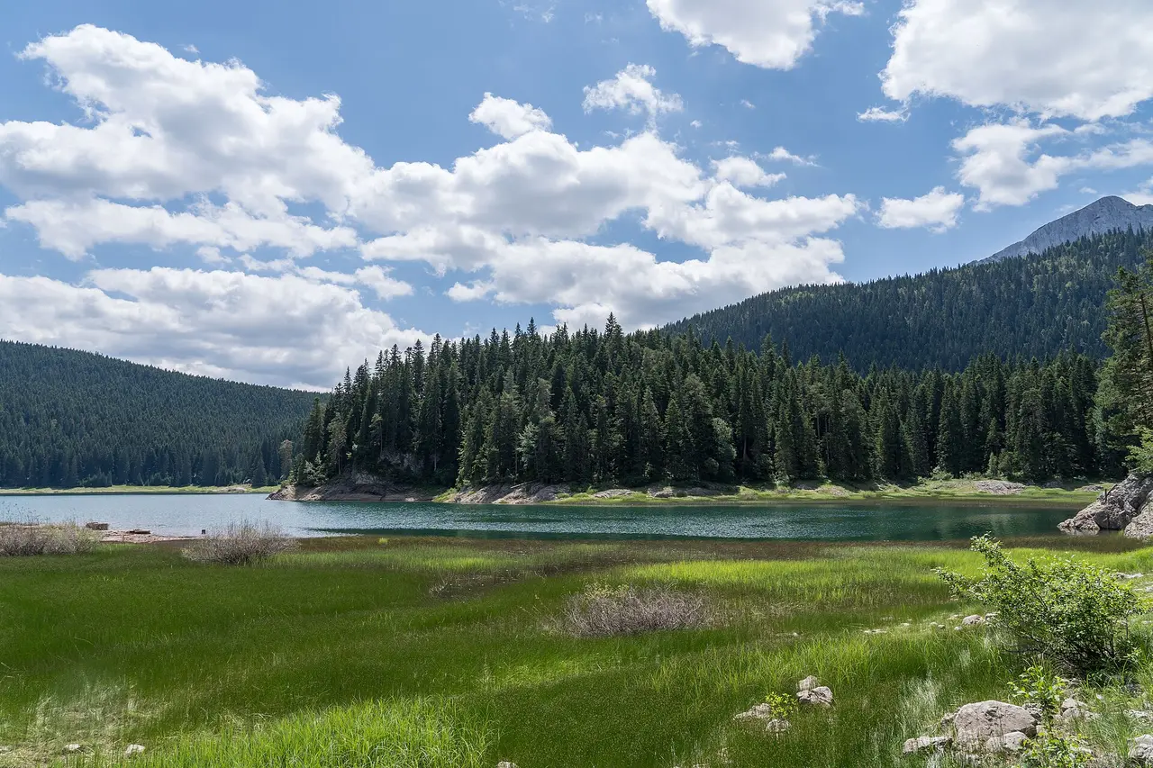 The Black Lake in Durmitor National Park, still dark water ringed by pine forest under the grey Durmitor peaks