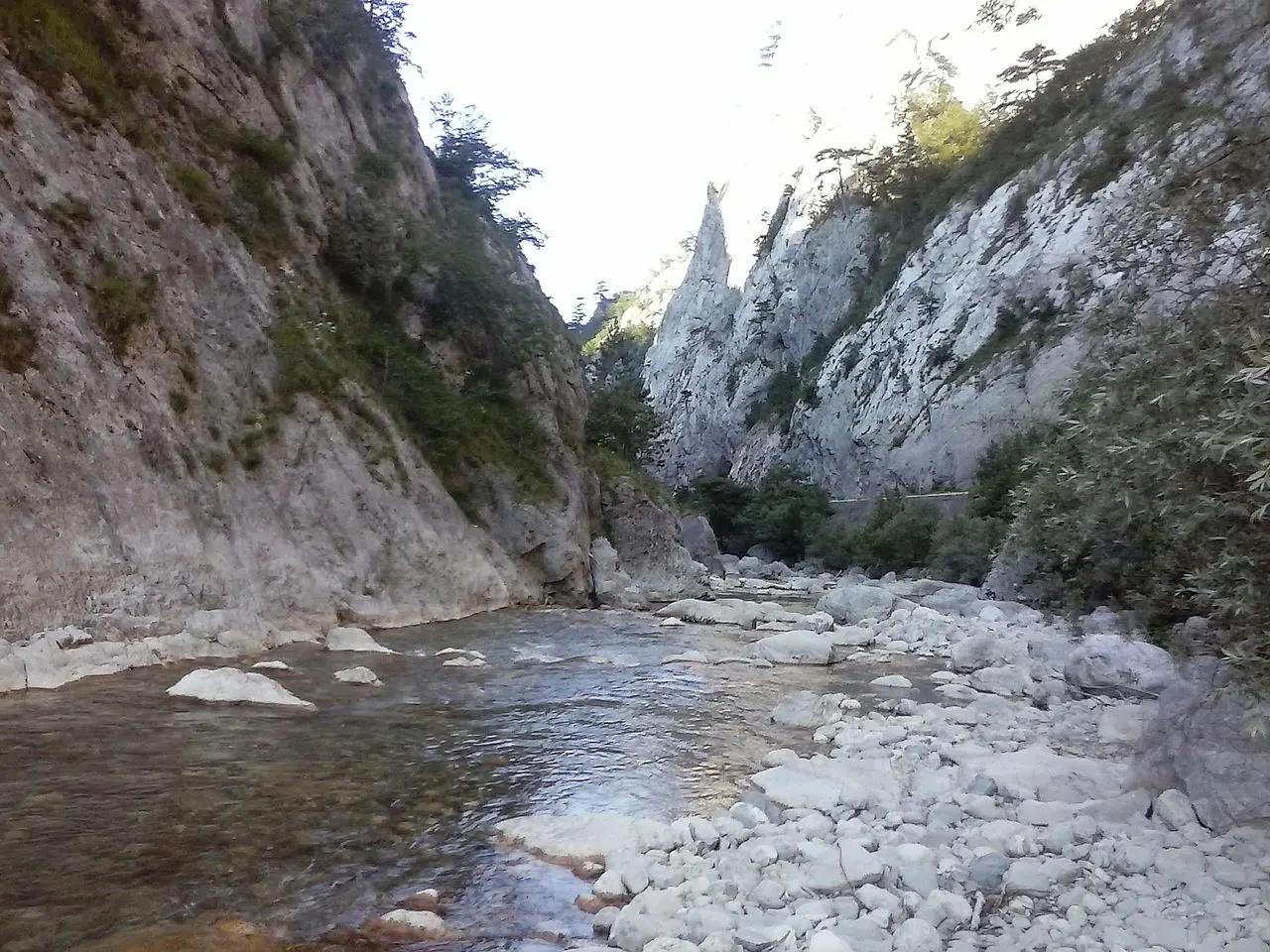 The forested mountains and deep valley of Sutjeska National Park in remote southeastern Bosnia