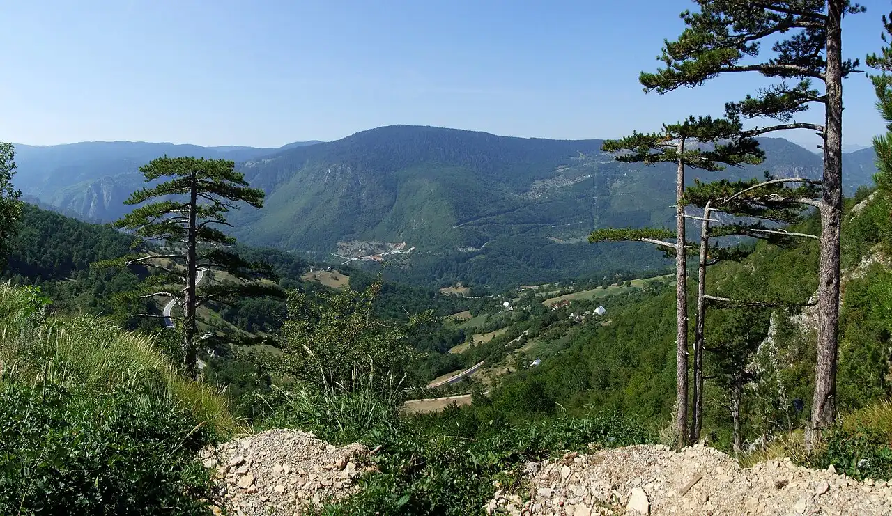 The deep, forested Tara River Canyon cutting through the Durmitor mountains of northern Montenegro