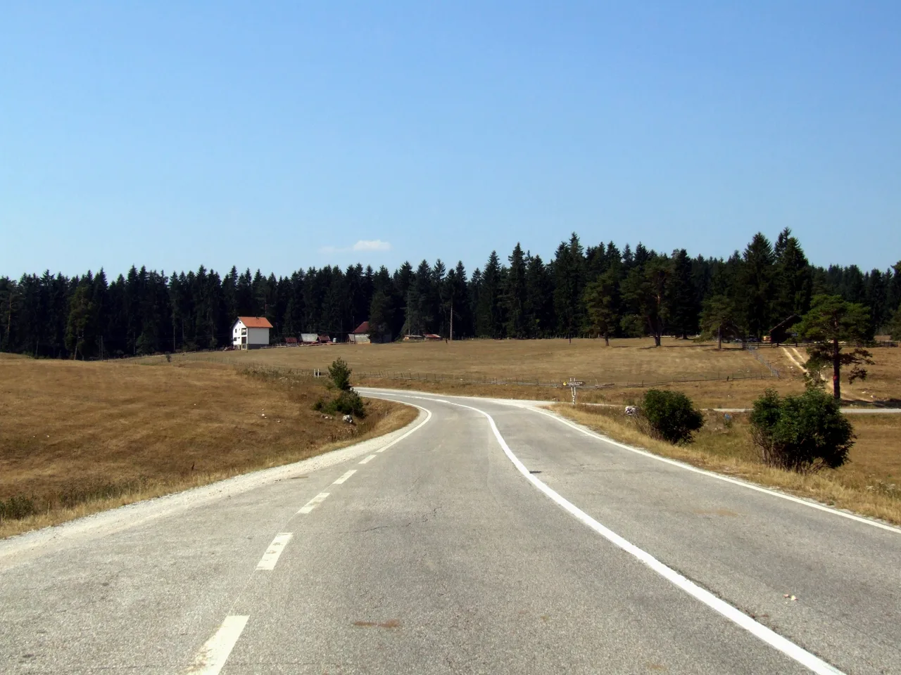 A quiet rural road forking through highland meadows and pine forest in Republika Srpska, Bosnia and Herzegovina