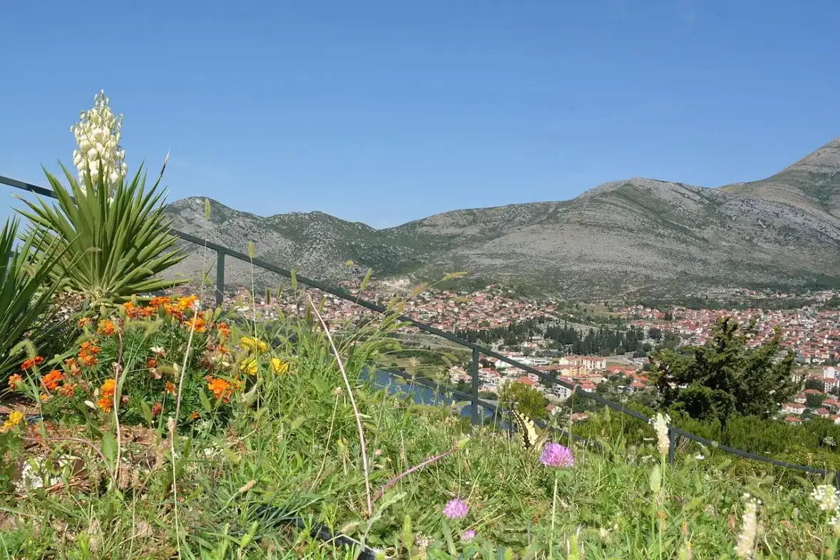 The red roofs of Trebinje spread across a green valley below dry karst hills, seen from a hilltop viewpoint