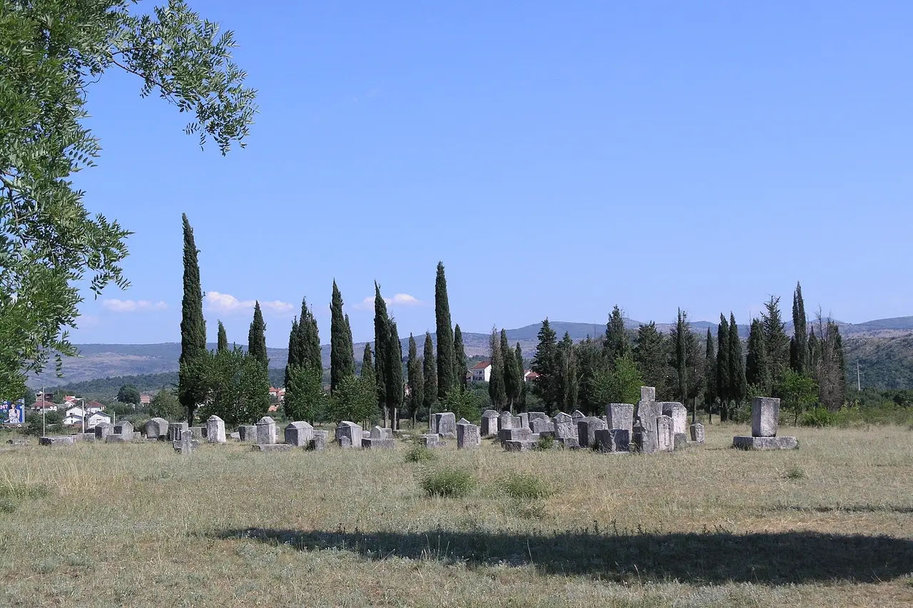 The field of grey limestone stecci at Radimlja under a blue sky, a line of cypresses and the village of Stolac behind