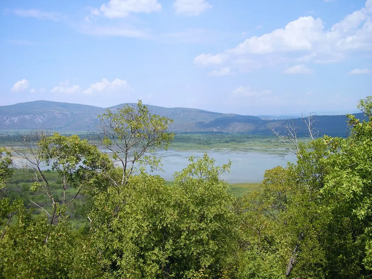 Deransko lake seen through oak scrub, a wide shallow sheet of water below bare karst ridges