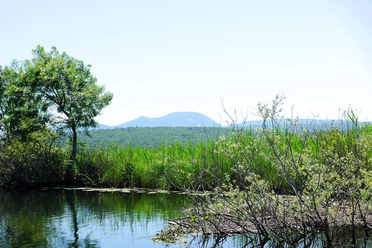 A still channel at Hutovo Blato edged with tall reeds and willows, karst hills rising behind