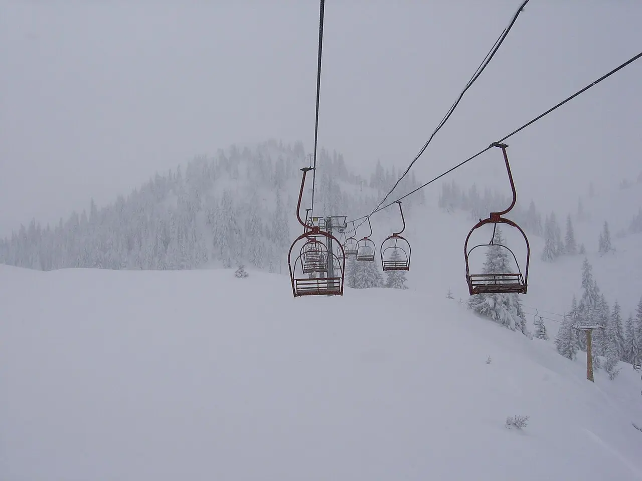 A chairlift climbing past pine trees on a snowy Jahorina slope