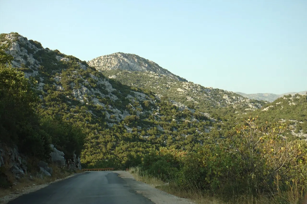 A narrow road winding through green karst hills and scrub on the approach to Neum