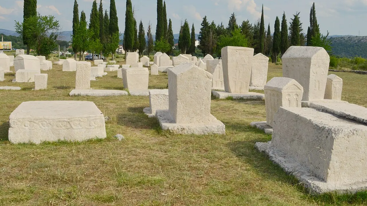 The field of white limestone stecci at Radimlja, chests and gabled tombstones standing in dry grass with a line of cypresses behind