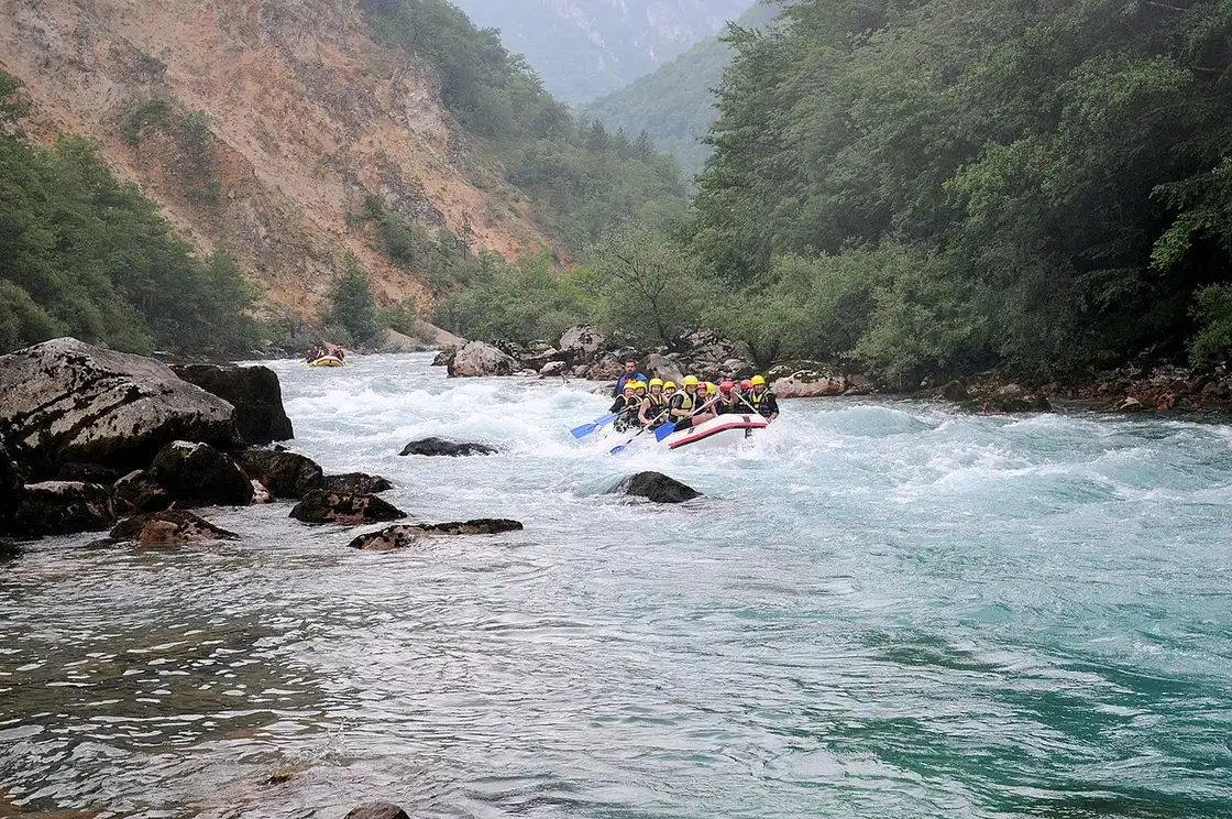 The deep, forested Tara River Canyon, the green river far below sheer limestone walls