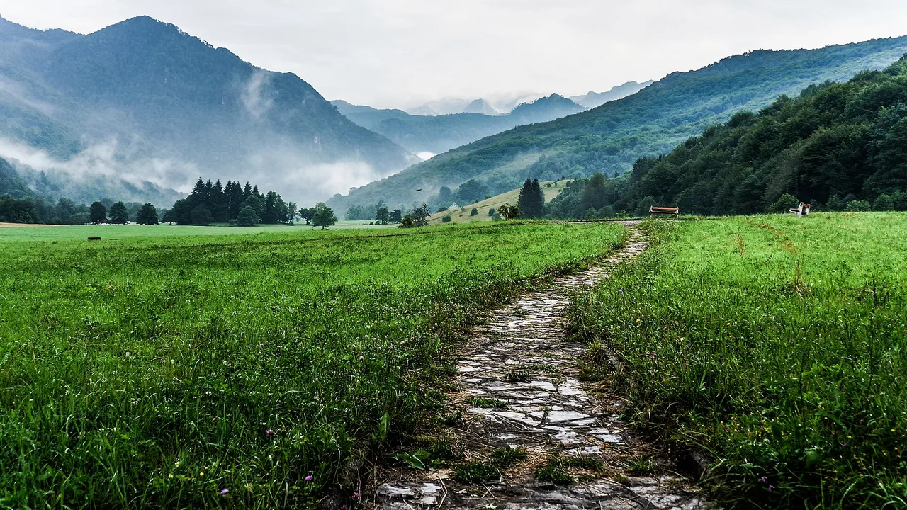 The valley road through Sutjeska National Park near Tjentište, forested slopes rising on both sides of the inland run south from Sarajevo