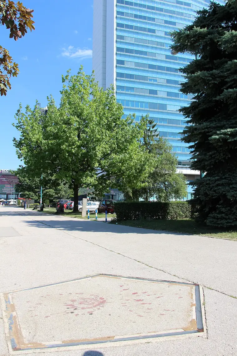 A Sarajevo Rose - a shell scar in the pavement filled with red resin, marking where people were killed