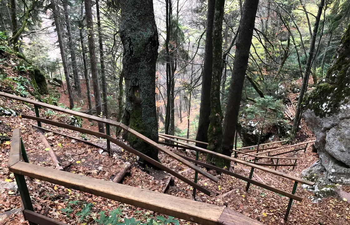 A shaded forest path climbing through spruce towards Skakavac waterfall above Sarajevo