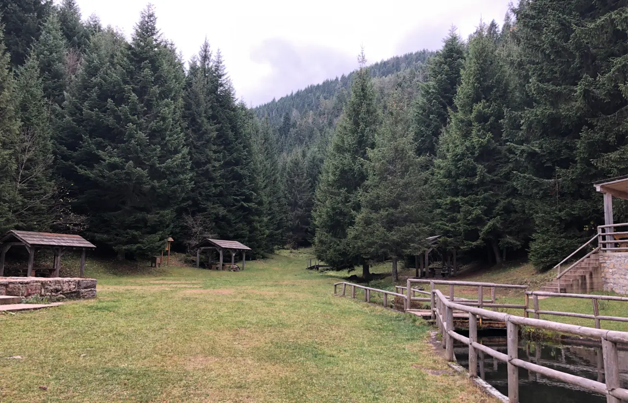 A wooden bench and drinking fountain beside the forest road in the Skakavac nature preserve