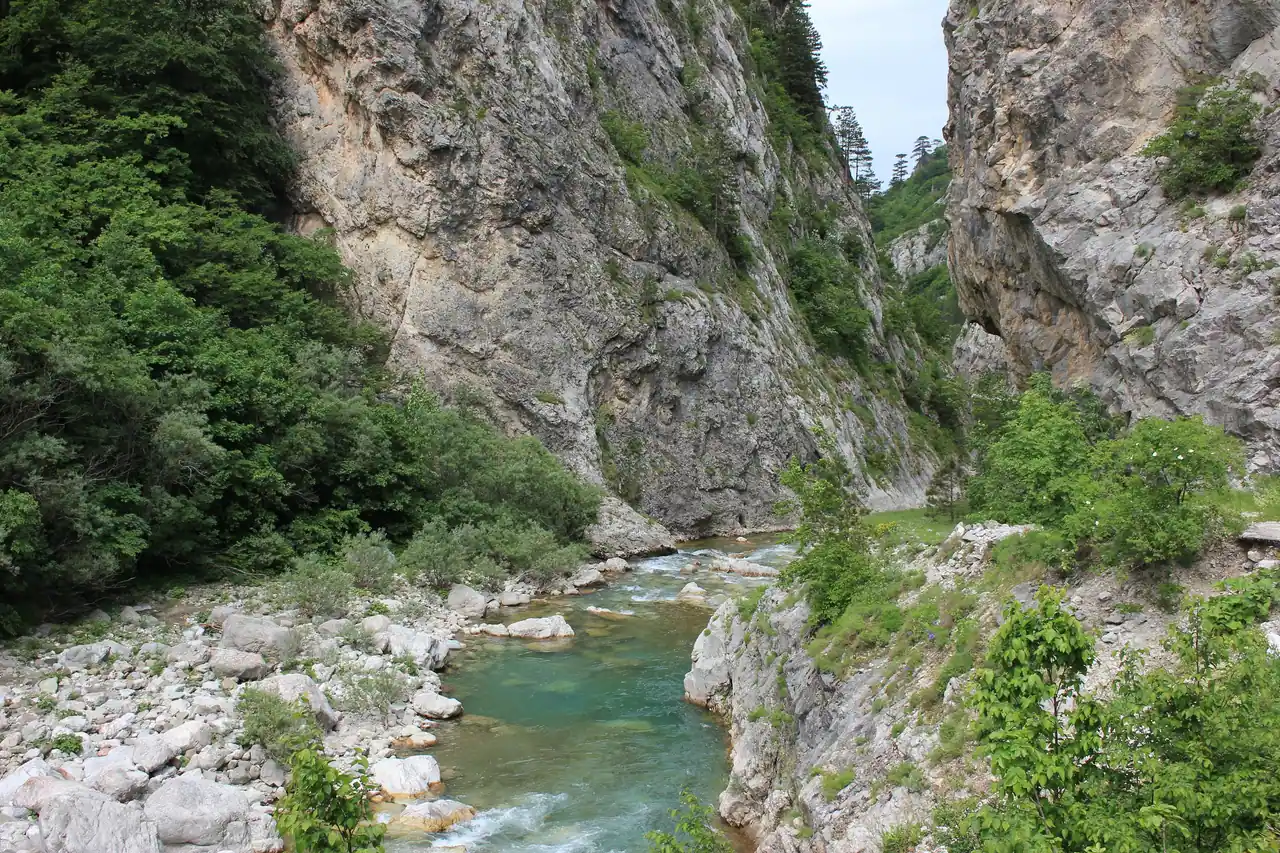 The clear Sutjeska river running through its forested valley in the heart of the national park