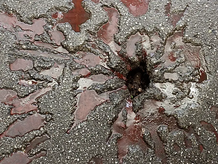 A Sarajevo Rose: a shell-blast scar in the pavement filled with red resin marking where people were killed