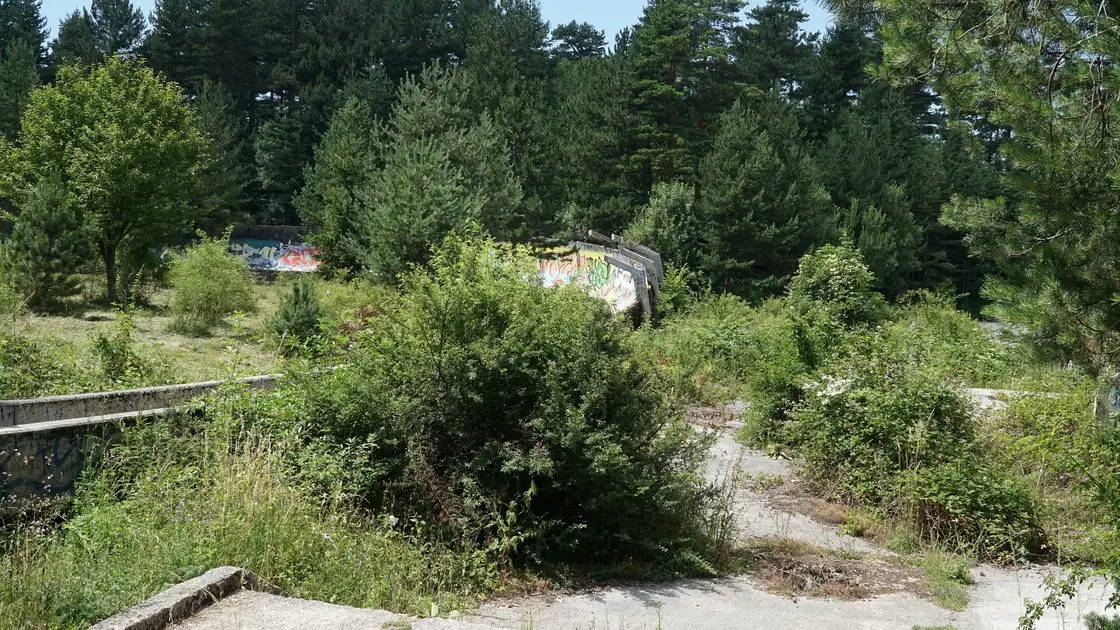 A section of the abandoned bobsled track half-swallowed by young trees and undergrowth on Trebević