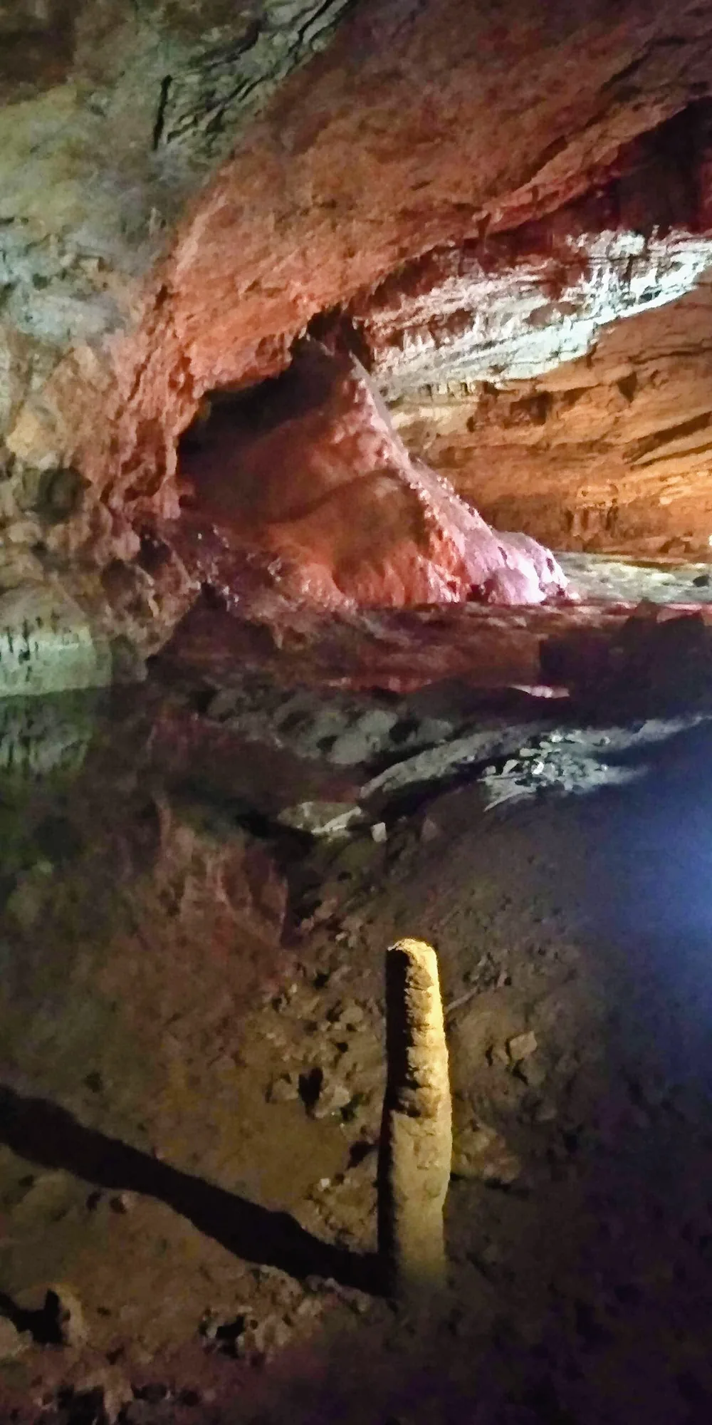 A single pale stalagmite standing on the cave floor in Vjetrenica below a flowstone ceiling washed in red and blue lamp light