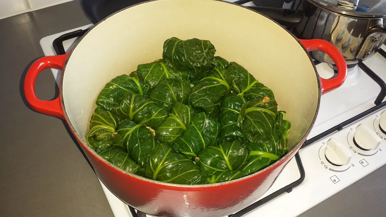 A red enamel pot packed with dark-green leaf rolls of Herzegovinian japrak, raštika, on a kitchen stove