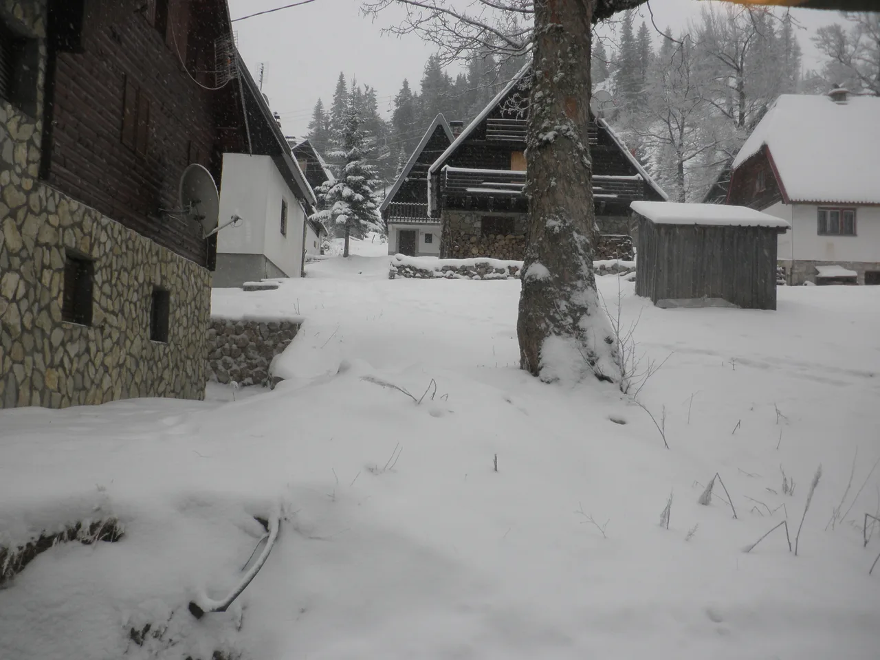 A-frame wooden chalets among snow-laden trees in a quiet corner of Jahorina
