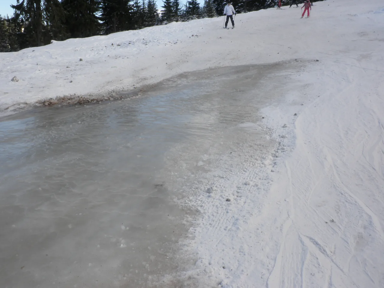 Skiers on the wide Poljice piste at Jahorina on an overcast winter day