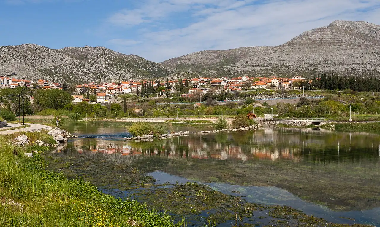 The green Trebišnjica river flowing past trees and houses in Trebinje