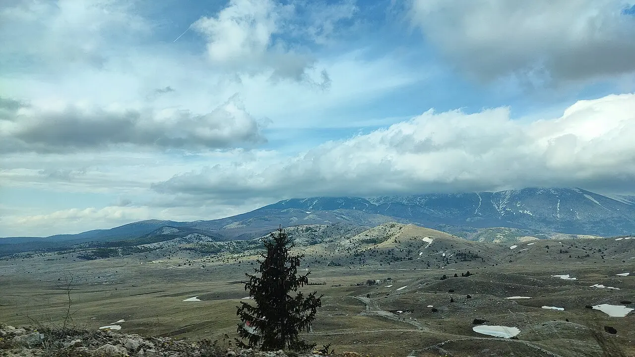 The open Blidinje plateau: pale grazing land and a lone spruce in front of long ridges of Vran and Cvrsnica still dusted with snow under a big cloudy sky