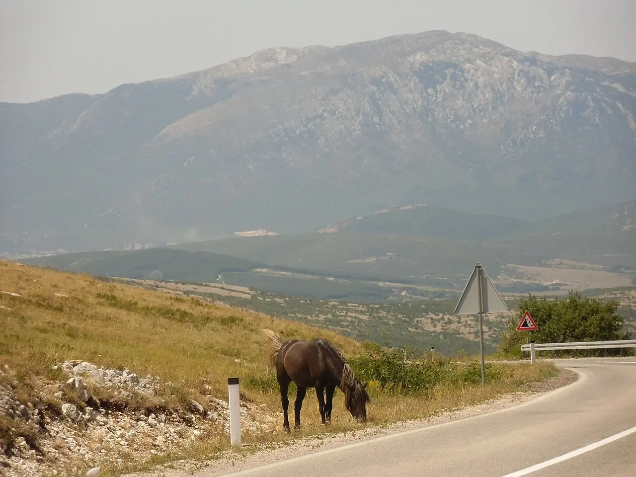 A single dark wild horse grazing on the verge of a mountain road above the wide Livno plain, the long grey ridge of Cincar rising behind